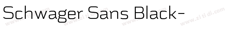 Schwager Sans Black字体转换